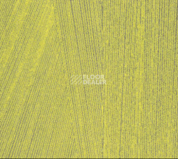 Ковровая плитка Milliken Facet fct 103 Citrus фото 1 | FLOORDEALER